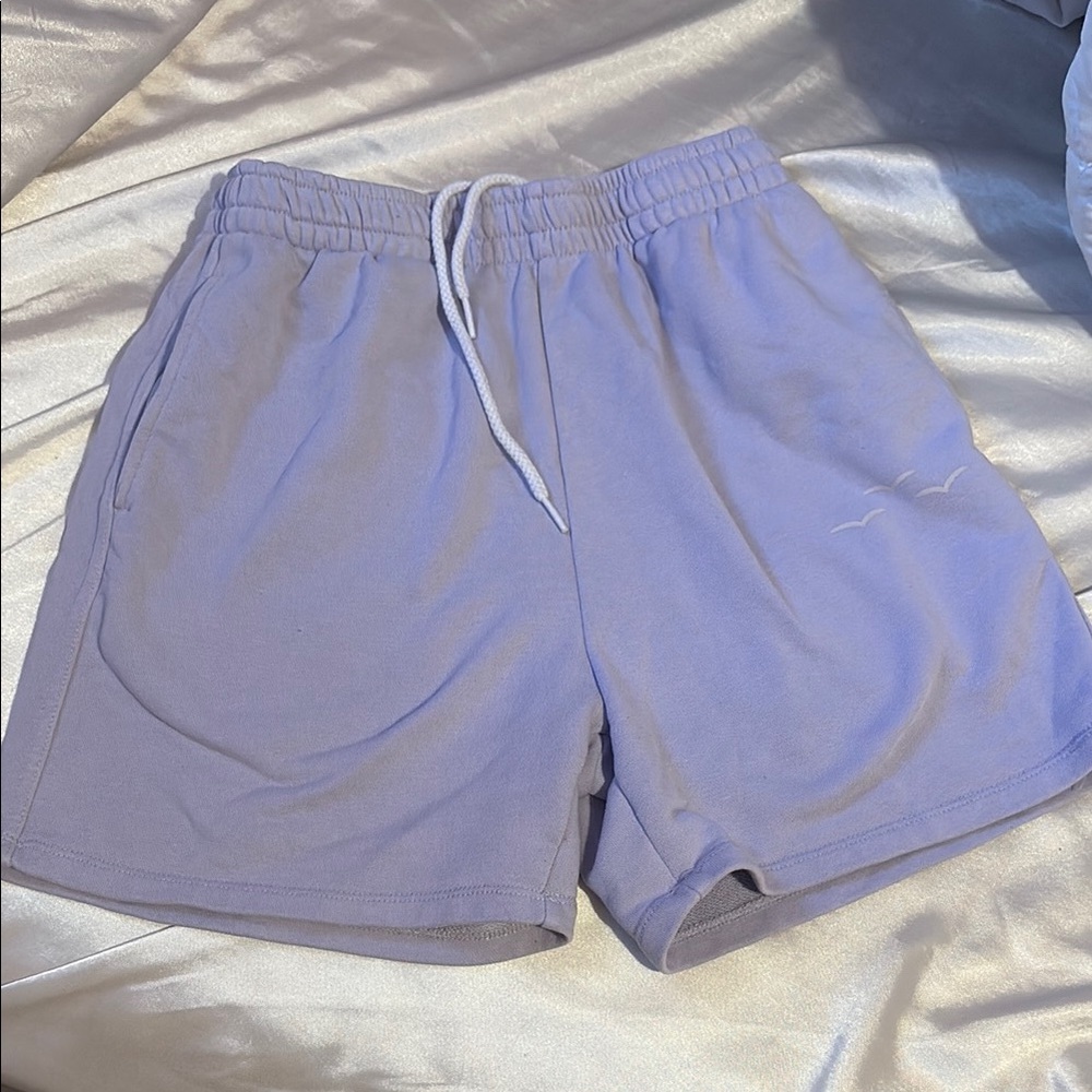 Women's Light Purple Casual Shorts